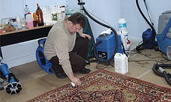 Работы по чистки ковров